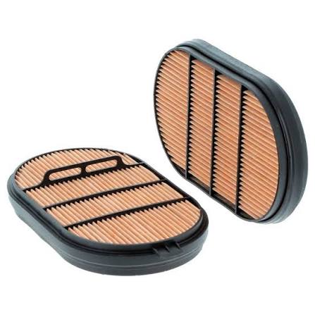 FILTRO AIRE INTERIOR LANDPOWER 165 ARGOPARTS 3685267M1
